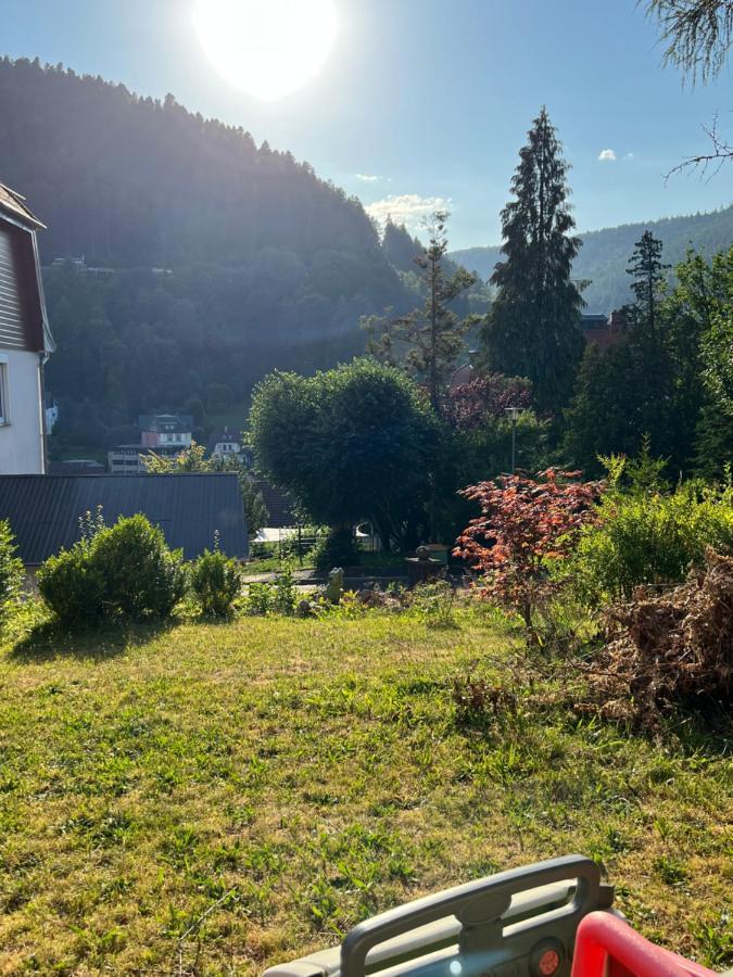 Viva La Wildbad Lejlighed Bad Wildbad Eksteriør billede