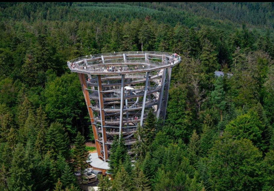 Viva La Wildbad Lejlighed Bad Wildbad Eksteriør billede