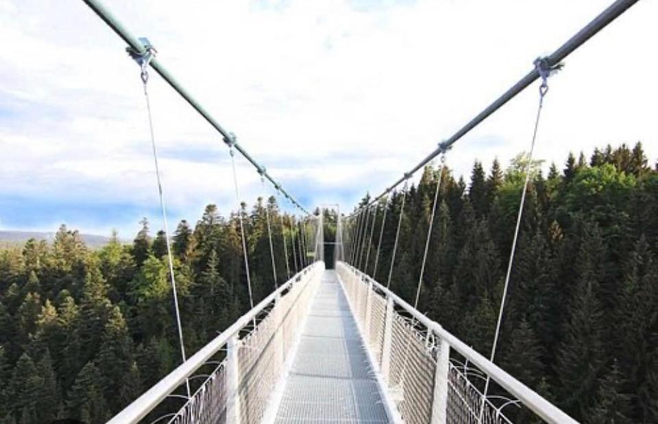 Viva La Wildbad Lejlighed Bad Wildbad Eksteriør billede