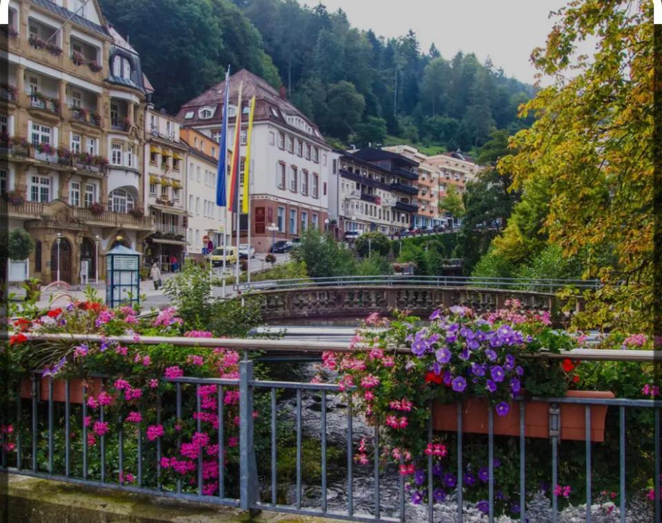 Viva La Wildbad Lejlighed Bad Wildbad Eksteriør billede