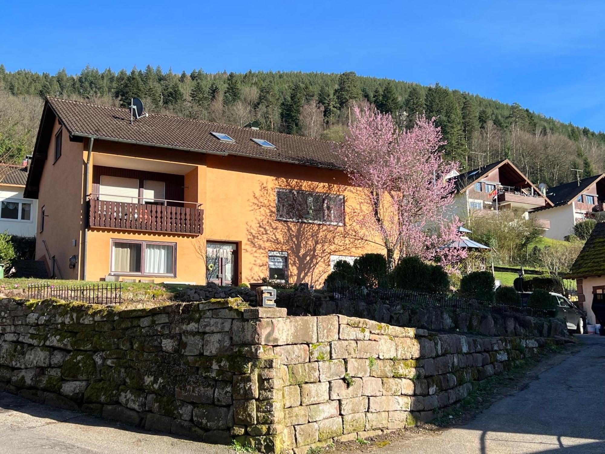 Viva La Wildbad Lejlighed Bad Wildbad Eksteriør billede